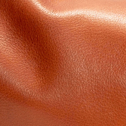 Whiskey Leather